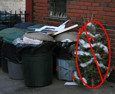 christmas tree recycling program 2012 christmas tree recycling program 2012