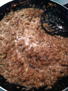 beef-stroganoff-mixture photo2 224x300 Half Assed Recipe: Feef Stroganoff (aka Fake Beef)