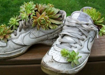 Recycle Your Old Sneakers Where Can I Wednesday