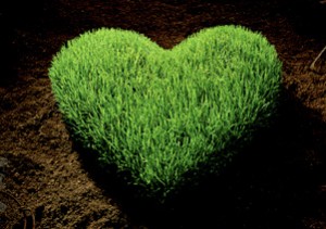 green-heart