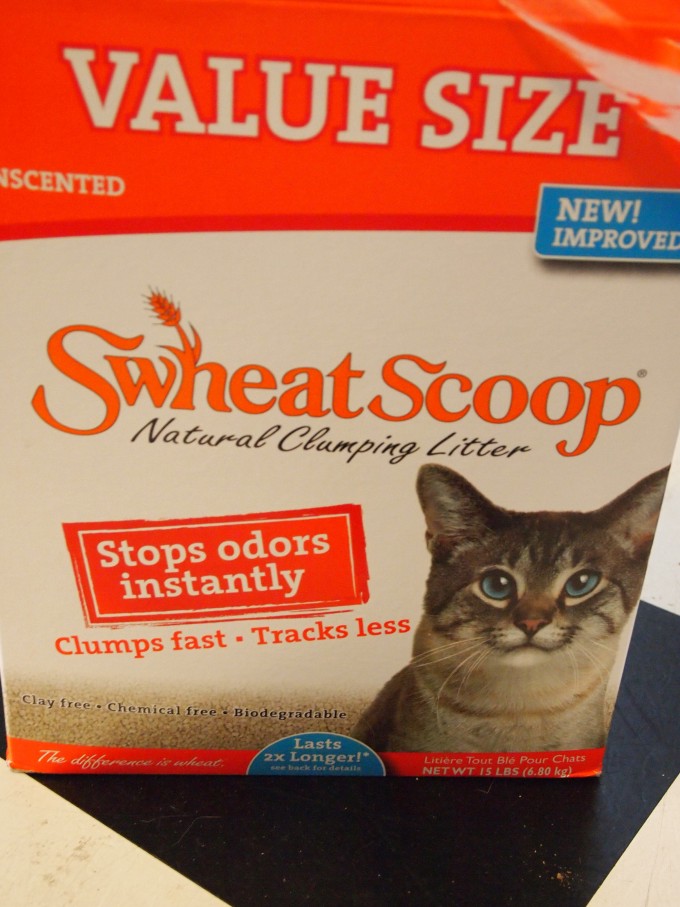Do Cats Like To Roll In Pee Do Cats Like To Roll In Pee