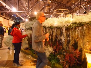 Philadelphia Flower Show 2013 Last Minute Prep