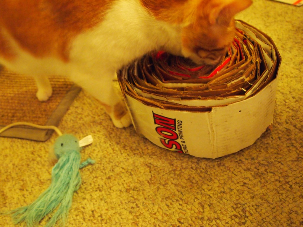 DIY Recycled Cat Scratcher (WCI Weds)
