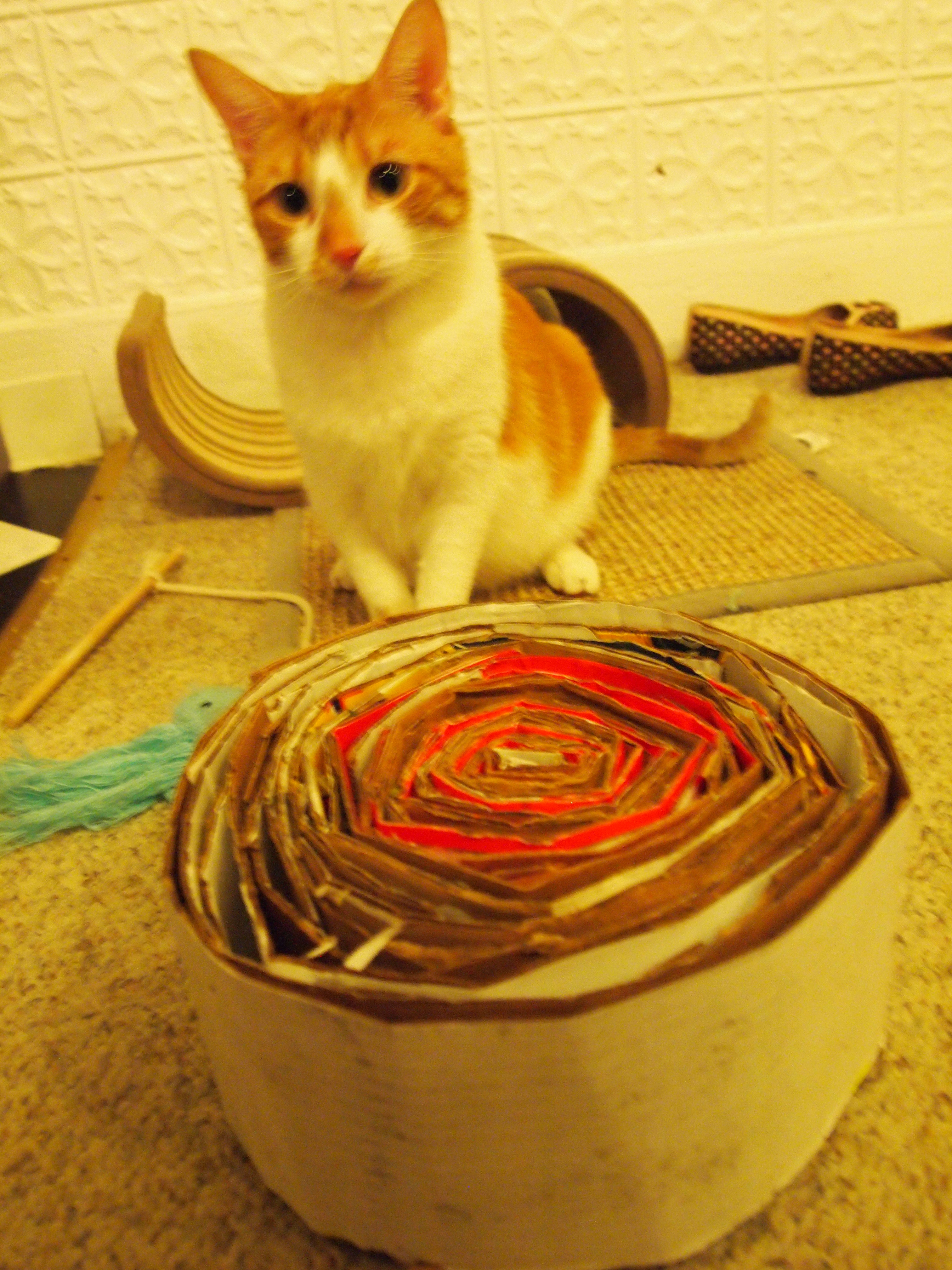 Diy Cat Scratcher House / Shoebox Uses 18 Easy and Creative DIY Ideas