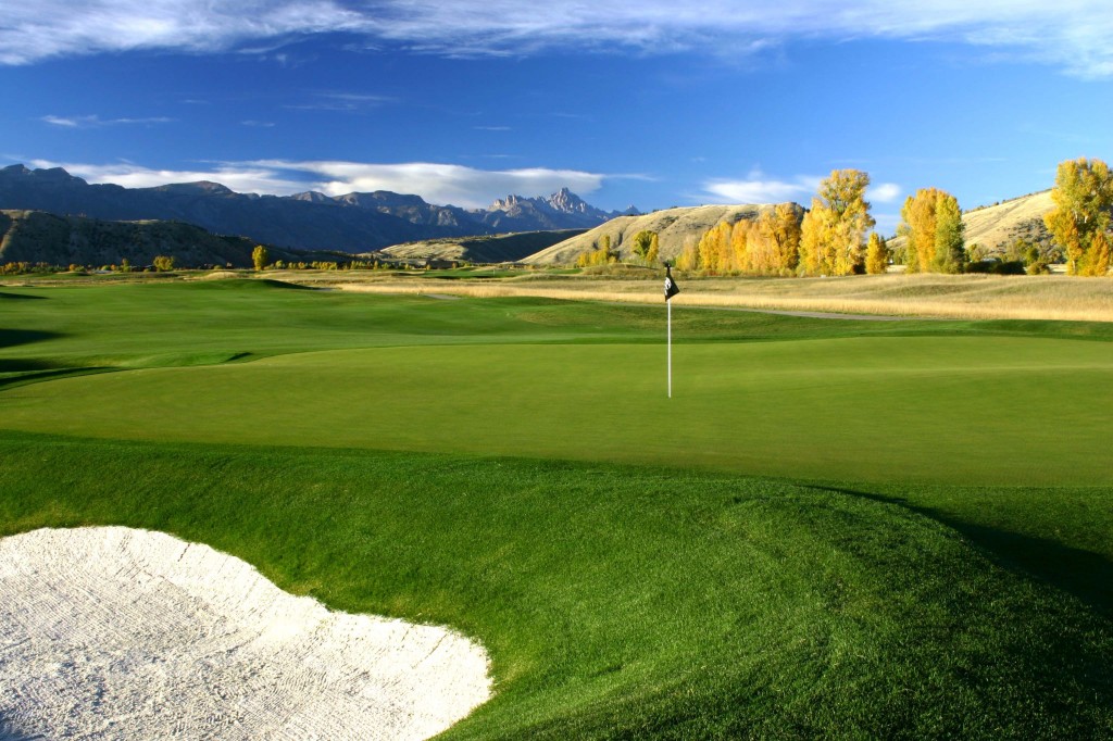 green golf course