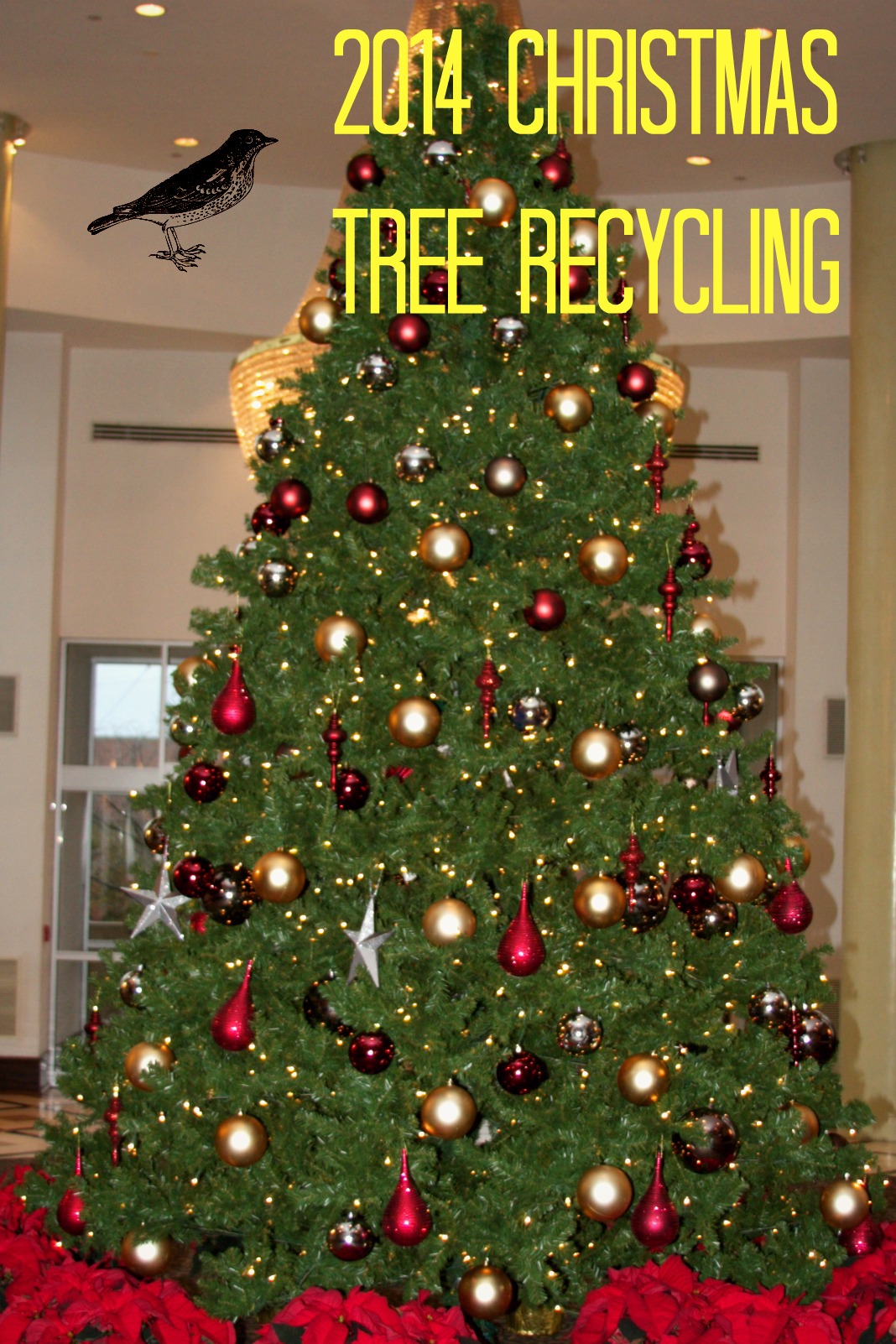 philadelphia christmas tree recycling 2013 2014 philadelphia christmas tree recycling 2013 2014