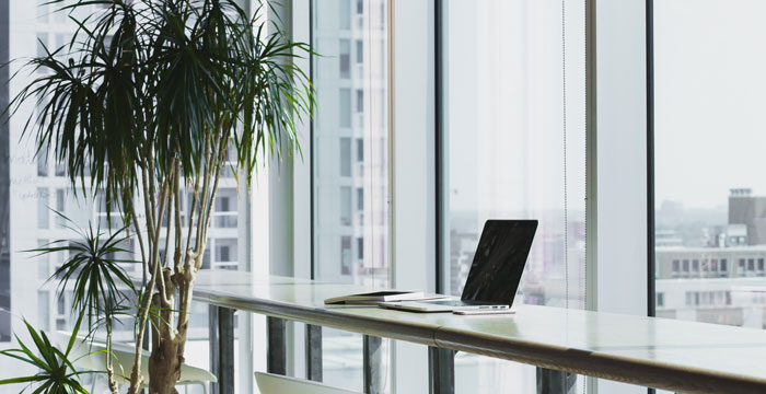 clear office ikea officeplants full view best office plants to literally clear the air clear office ikea officeplants full view best office plants to literally clear the air